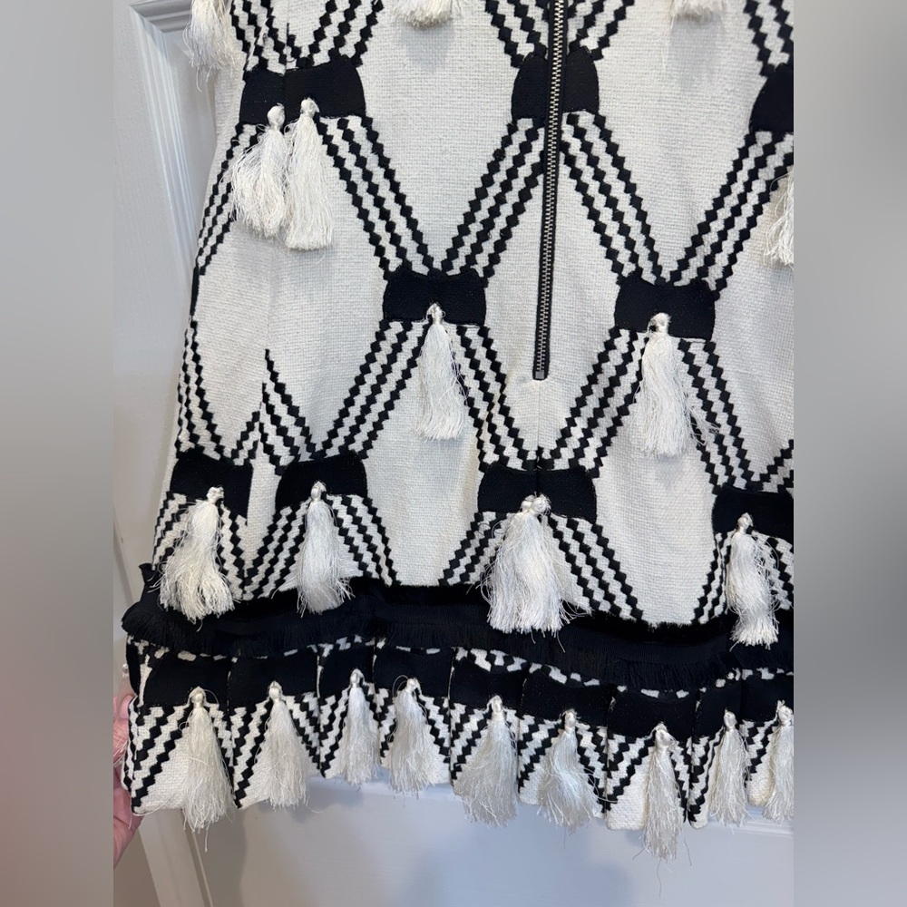 ALEXIS Bijou Knit Tassel A-line Mini Dress - Picture 4 of 6